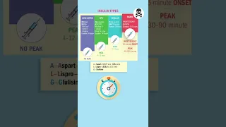 Rapid Insulin Peak Time & Memory Tricks from Nurse Mike