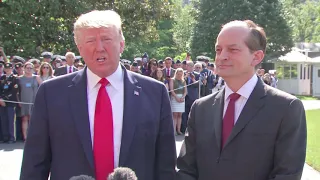 Trump Labor Secretary Alex Acosta resigns amid Jeffrey Epstein deal scrutiny