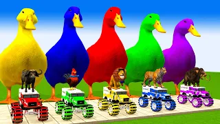 5 Giant Duck, Monkey, Piglet, chicken, dog, cat, cow, Sheep, Transfiguration funny animal 2023