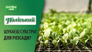 Шукаєш якісний субстрат для розсади томатів, перцю, капусти ? ПОЛІСЬКИЙ - улюблений субстрат рослин!