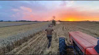 Mowing wheat 2019  Claas Mercator 50/Samesaturno 80