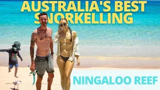 Is this the worlds BEST REEF? Snorkelling Ningaloo Reef - Exmouth vanlife - Travel Vlog Caravan Aus