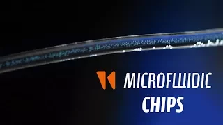 Microfluidics Adventures #3: Microfluidic chips