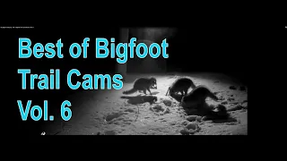 My Bigfoot Story Ep. 130 - Bigfoot Trail Cams Best of Vol. 6