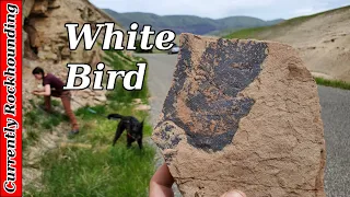 White Bird Fossil Bed