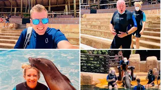 ROARING LAUGHING 😂 ! Sea Lion Ecounter at Jungle Park Tenerife!