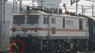 RARE ! Cow stops train, Driver shouts to shoo it away !! INDIAN RAILWAYS