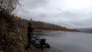 СТОЛЬКО ЛЕНКОВ я ЕЩЕ не ЛОВИЛ !!! Рыбалка на спиннинг на реках Сибири