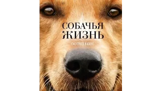 собачья жизнь 2017. На русском