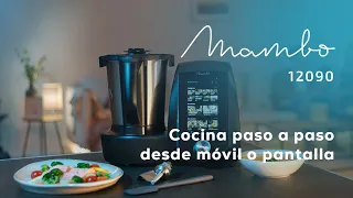 Robot de cocina Mambo 12090