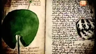 Voynich Manuscript : Mysterious book that contains many UNDECIPHERED secrets!!