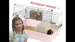 Клетка для морских свинок | Зверьки TV