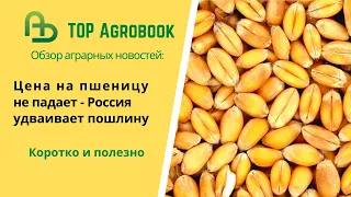 Цена на пшеницу не падает - Россия удваивает пошлину. TOP Agrobook: обзор аграрных новостей
