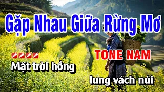 Karaoke Gặp Nhau Giữa Rừng Mơ Tone Nam Nhạc Sống Beat Chuẩn | Hoàng Luân