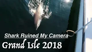 A shark ruined my camera - Grand Isle 2018