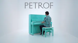 Gigi D'Agostino – L'amour toujours | Piano Cover by Thomas Krüger | PETROF COLOURS