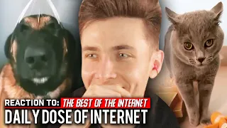 ХЕСУС СМОТРИТ: DAILY DOSE OF INTERNET - The Best Of The Internet (2021) | РЕАКЦИЯ/REACTION