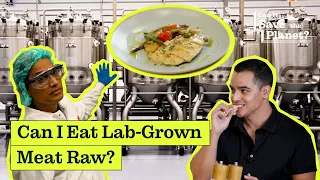 Can Lab-Grown Meat Save the Planet?