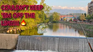 Fishing in PIGEON FORGE, TENNESSEE for BASS and TROUT.