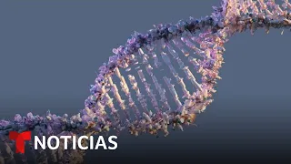 Científicos consiguen descifrar un genoma humano completo por primera vez | Noticias Telemundo