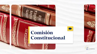 Comisión Constitucional - 22/02/2024 (traducción)