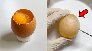 Strange Organ Inside the Egg -  Egg Dissection
