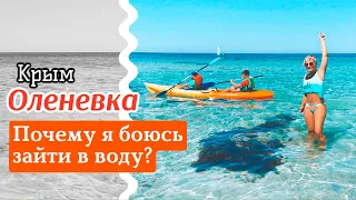 Чистая вода и песочный пляж Оленевка в Крыму. Обзор пляжа. Цены в Крыму 2020.