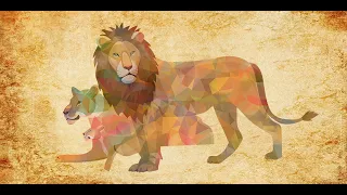 The Lion King - This Land Orchestral Cover JPMusician