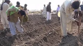 Netherlands farm works to adapt to climate change effects