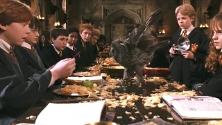 Ron Weasley's owl lands dining table with talking letter | Harry Potter and the Chamber of Secrets