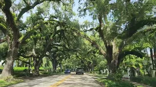 Beautiful street. Coral Gables. Florida.