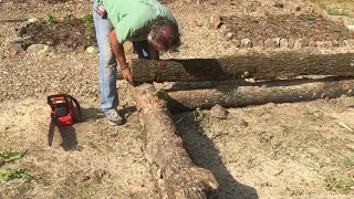 Raised Beds Made From Logs