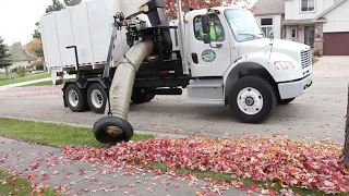 60 Seconds of Curb Side Leaf Collection