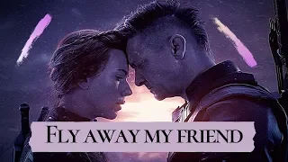 Clint & Natasha || Fly away me friend