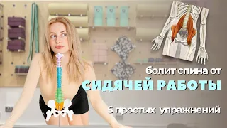 Вся боль в пояснице из-за этой мышцы! Комплекс для спины при сидячей работе