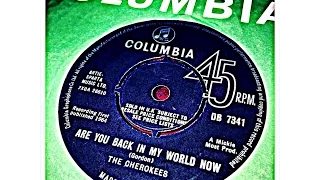 THE CHEROKEES - ARE YOU BACK IN MY WORLD NOW