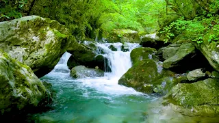 Mountain Stream Water falling in forest. White Noise, Mountain Waterfall, Nature Sounds for Sleep.