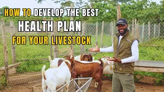 WHAT YOU NEED TO KNOW ABOUT LIVESTOCK HEALTH AND DISEASE PREVENTION