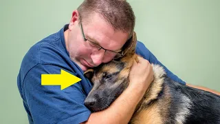 Супружеская пара спасла собаку с улицы. Она не перестает плакать и обнимать спасителей!