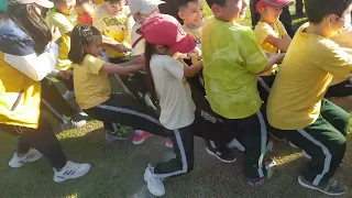 Tug of war, Yellow team wins!