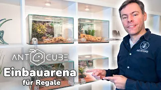 ANTCUBE fitted arena 🐜 Perfect for shelves and shelving systems!