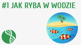 Jak ryba w wodzie #1 [ Ryby ]