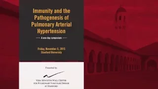 Pulmonary hypertension, inflammation, and immune response: the long way from thought to action