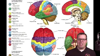 Stroke Prehospital Care pt 1