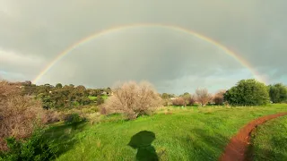 Deep Healing Music: Release Toxic Energy On This Walk In The Rain