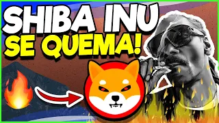 🔥 TIENES QUE SABER ESTO SOBRE LAS QUEMAS DE SHIBA INU! 🔥SHIBA INU PUEDE EXPLOTAR PRONTO (Analista) ✅