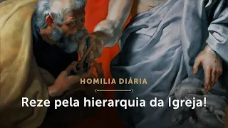 Homilia Diária | Reze pela hierarquia da Igreja! (Sexta-feira da 7.ª Semana da Páscoa)