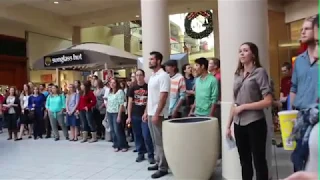 Christmas Flash Mob 2014: Thomas Aquinas College