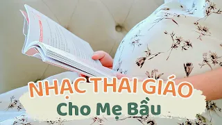 Nhạc Thai Giáo Thư Giãn Cho Mẹ Bầu Và Thai Nhi (Playlist 30 phút P.2)