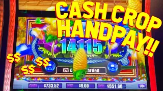 JACKPOT TO DANIEL!! on Strike Zone and Cash Crop Slot Machine!!